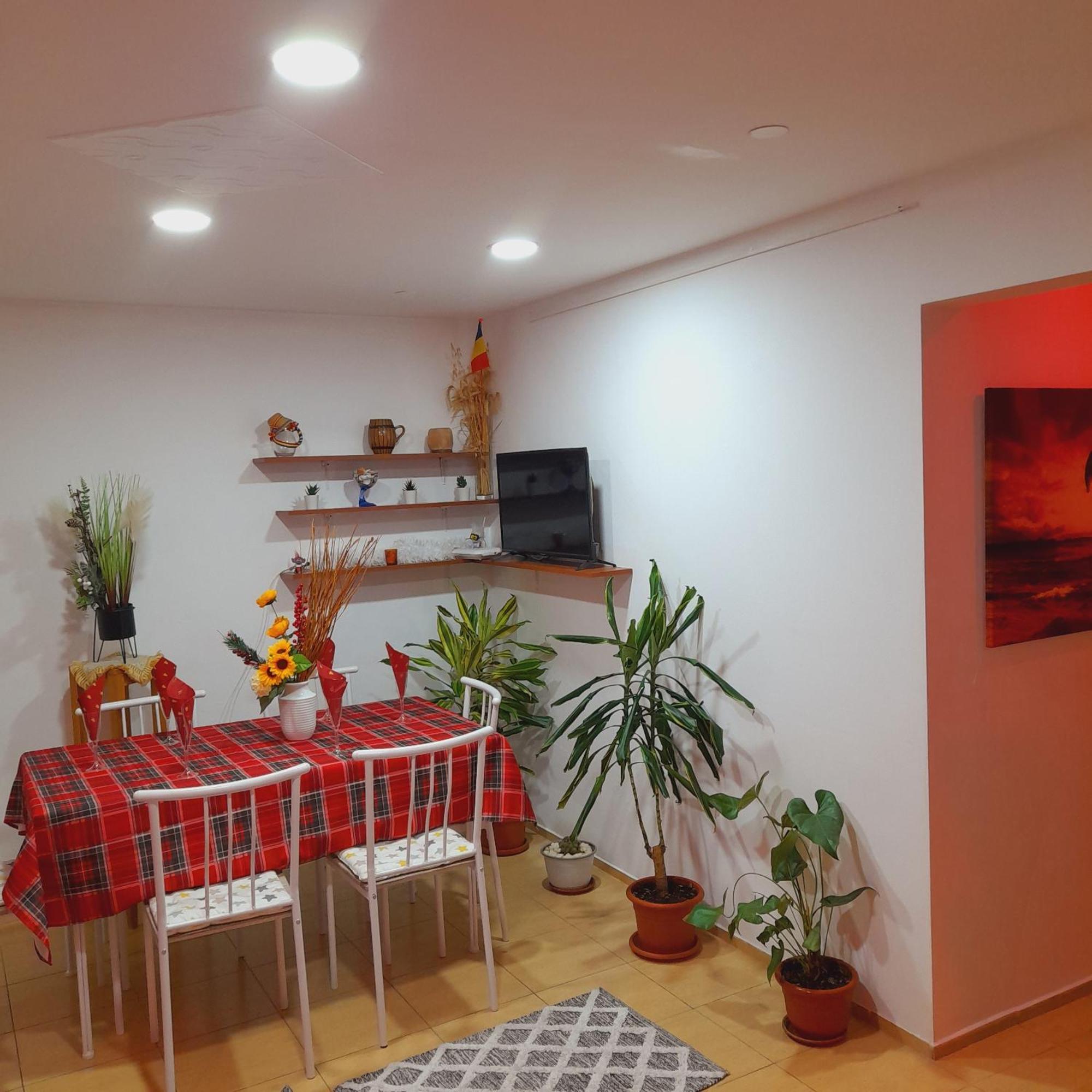 Apartment Boulevard Cetate อัลบายูเลีย ห้อง รูปภาพ