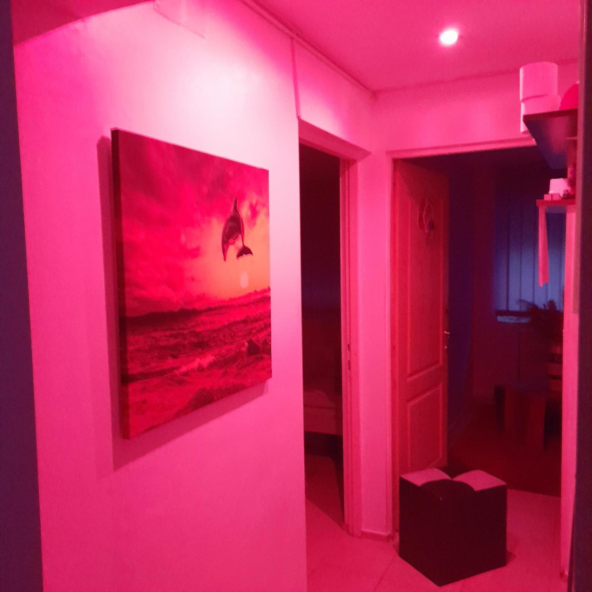 Apartment Boulevard Cetate อัลบายูเลีย ภายนอก รูปภาพ