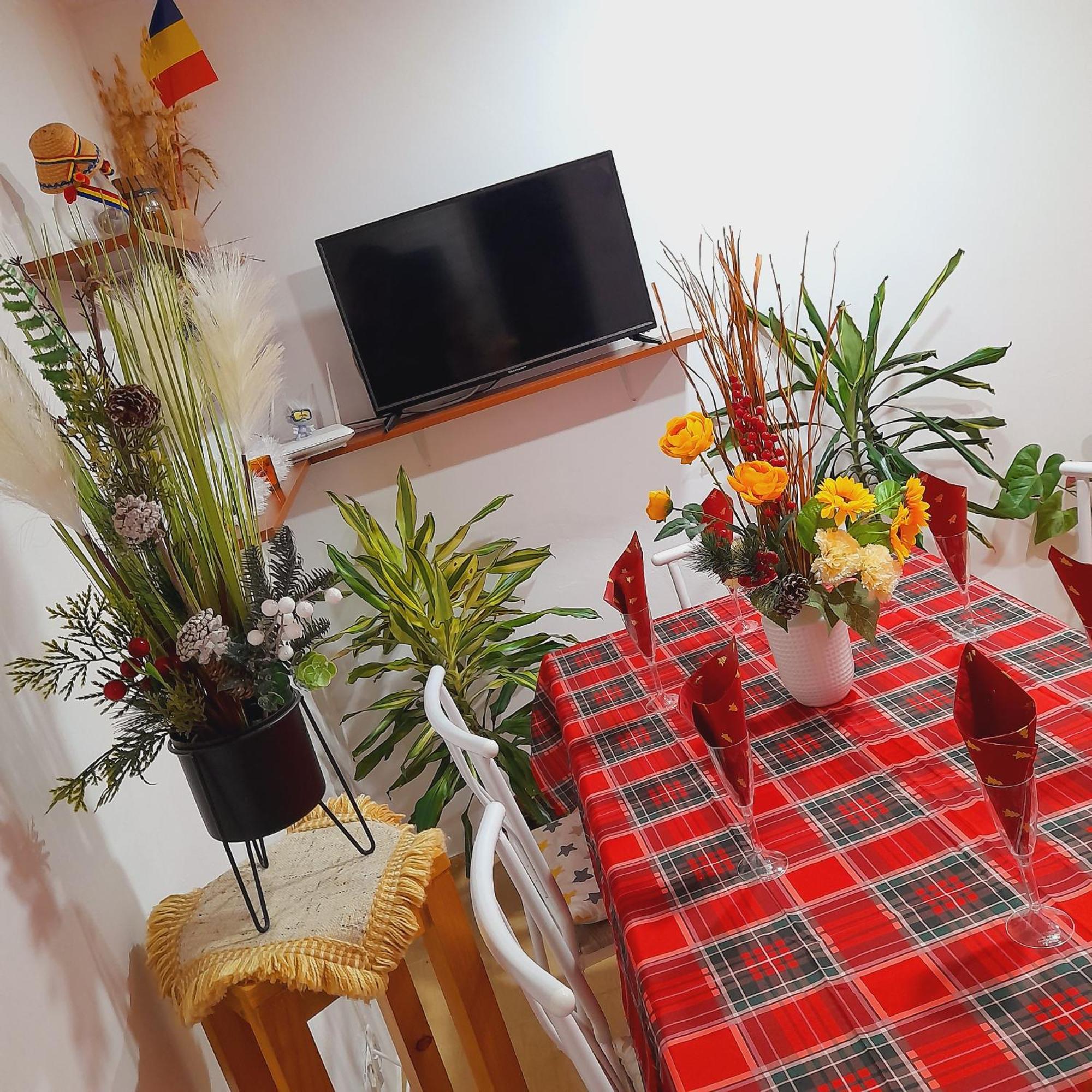 Apartment Boulevard Cetate อัลบายูเลีย ห้อง รูปภาพ
